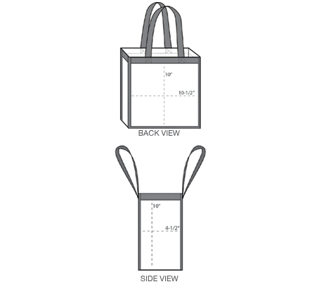 Clear Stadium Tote