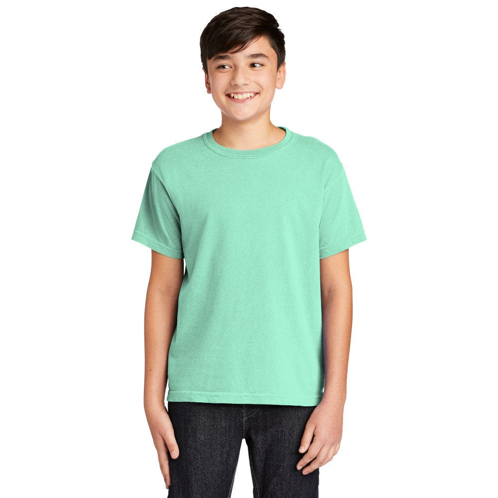 Comfort Colors Burlington Vermont Unisex Youth Short Sleeve T-Shirt, Custom T-shirt, Comfort Colors T-shirt